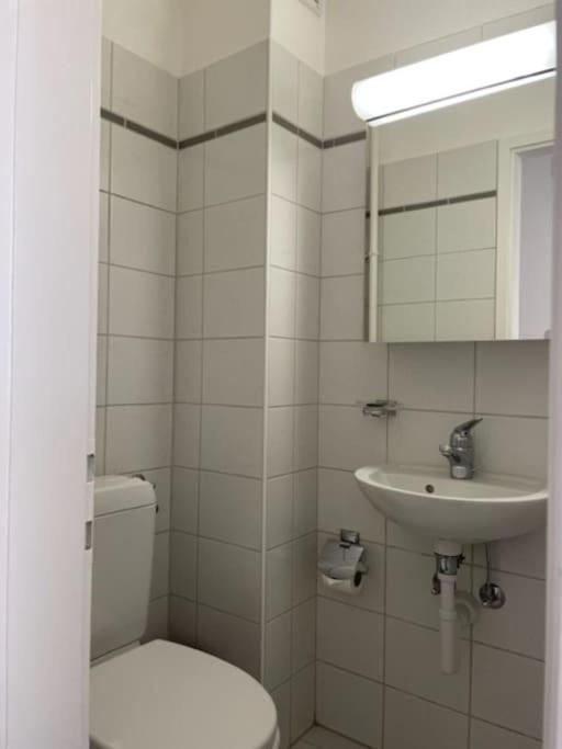 Beautiful, Quite And Very Central 2 Bedroom Flat Zürich Exterior foto